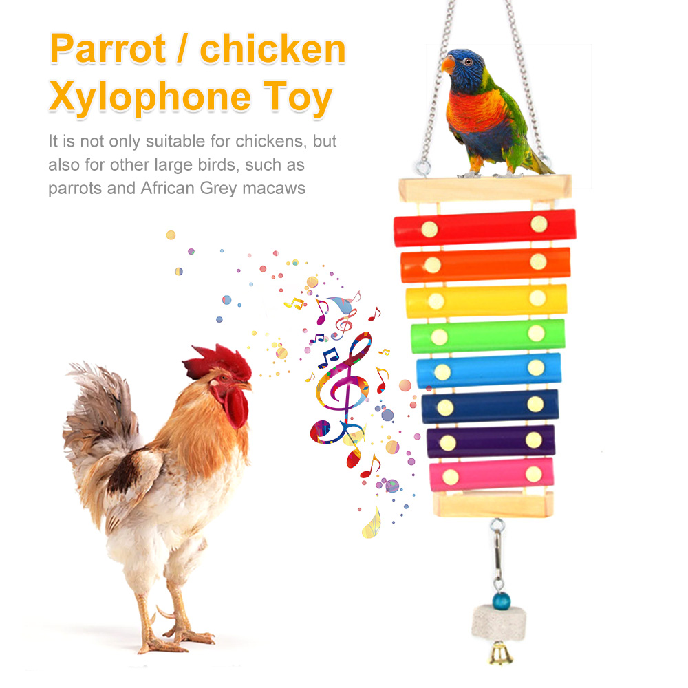 Bird Chicken Xylophone Toy Woo - Musical Instrument Harmonium recension och pris